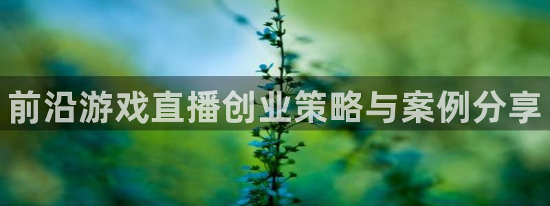 运达娱乐平台登录入口