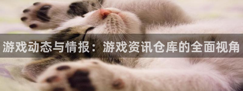 运达娱乐注册账号
